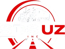 SDS UZ INC